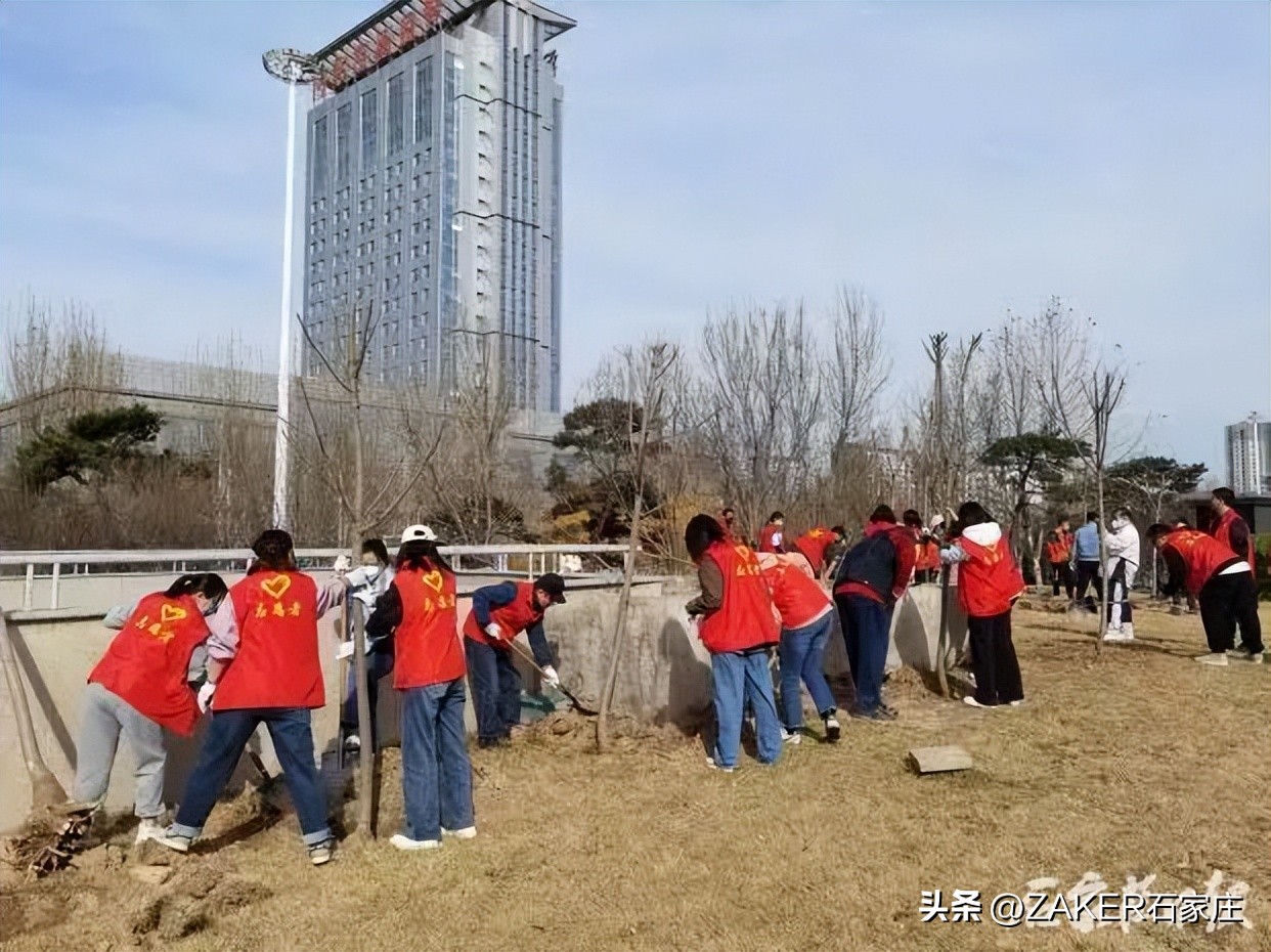 第八批引进高层次科技创新创业人才项目开始申报；河北运动员获得3金2铜；上热搜了！“螺蛳粉”味樱花？