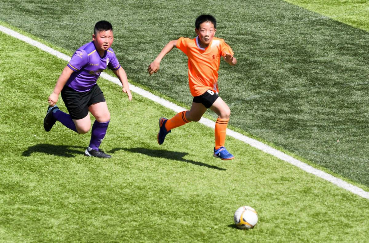 足球在体育界的影响力,足球在体育的地位