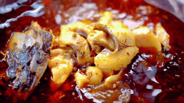 秀丽东方最新版,秀丽东方最新视频