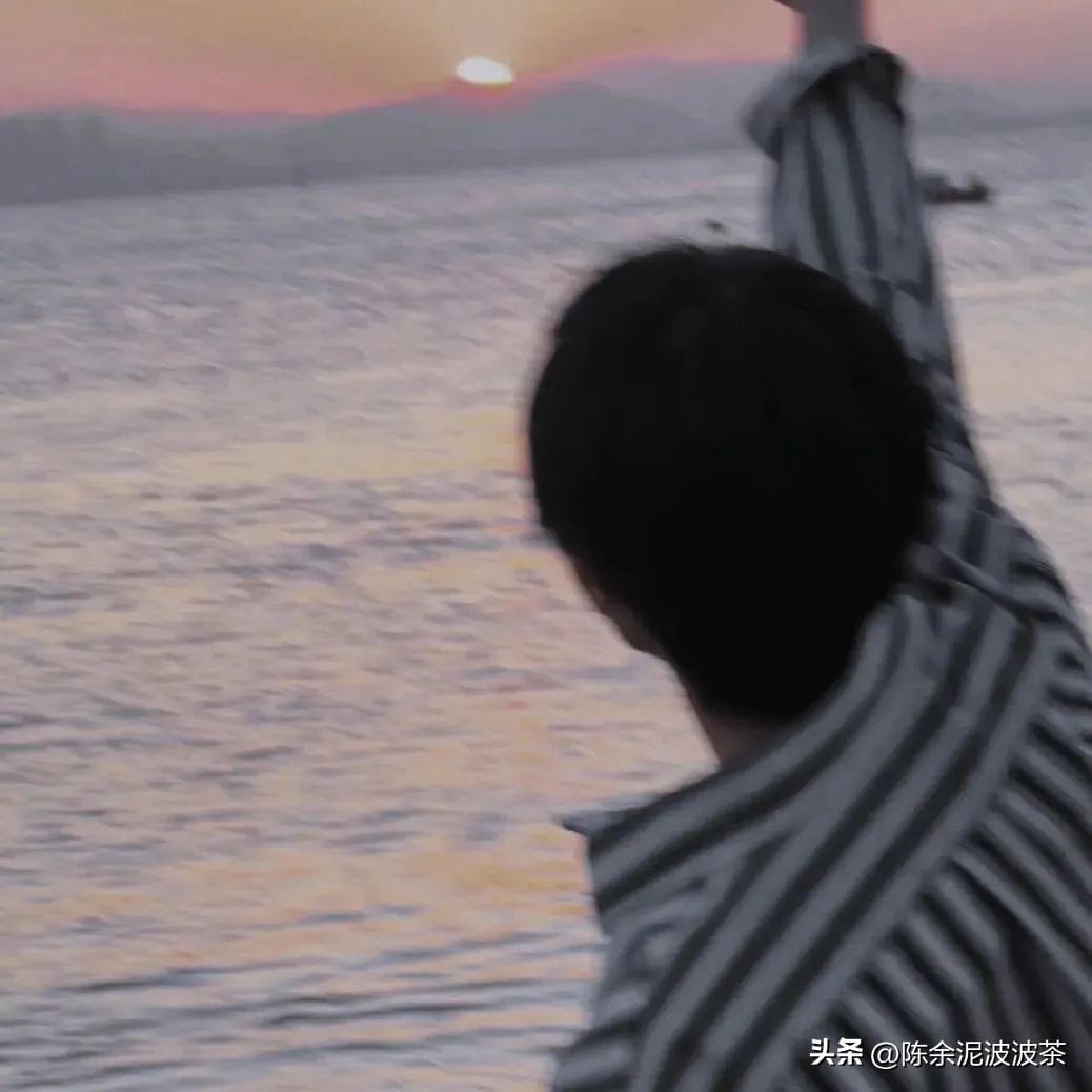 可爱的猫咪头像和小狗头像,团子头像可爱微信头像