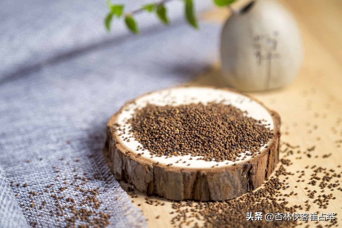 补阳最强的药材,补阳虚的最好的一味中药