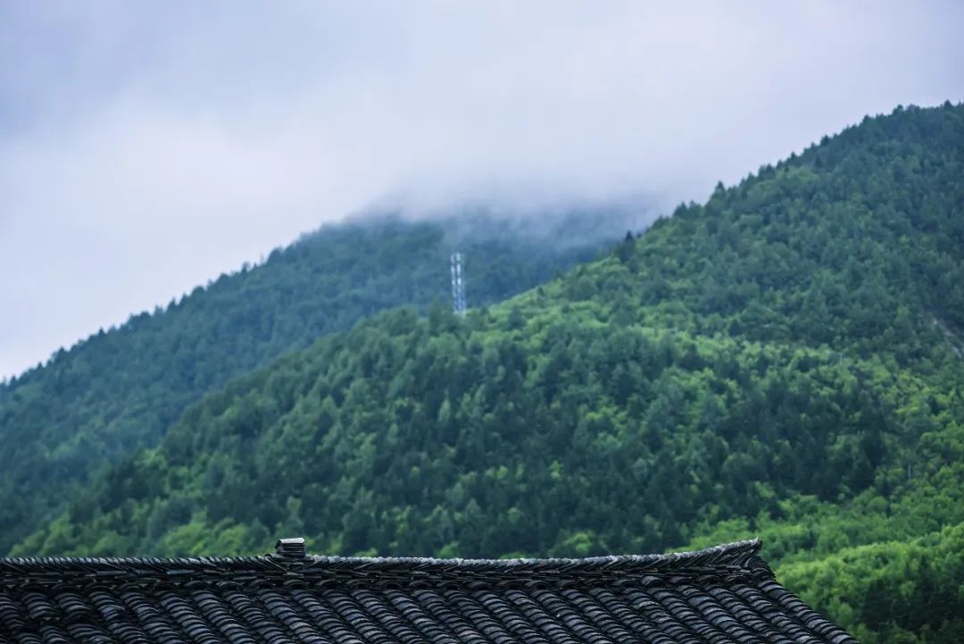 张颐武中国精神,张颐武谈酒文化