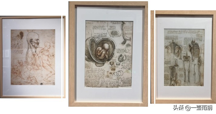 达芬奇的代表作及美学特征,达芬奇是跨时代的天才