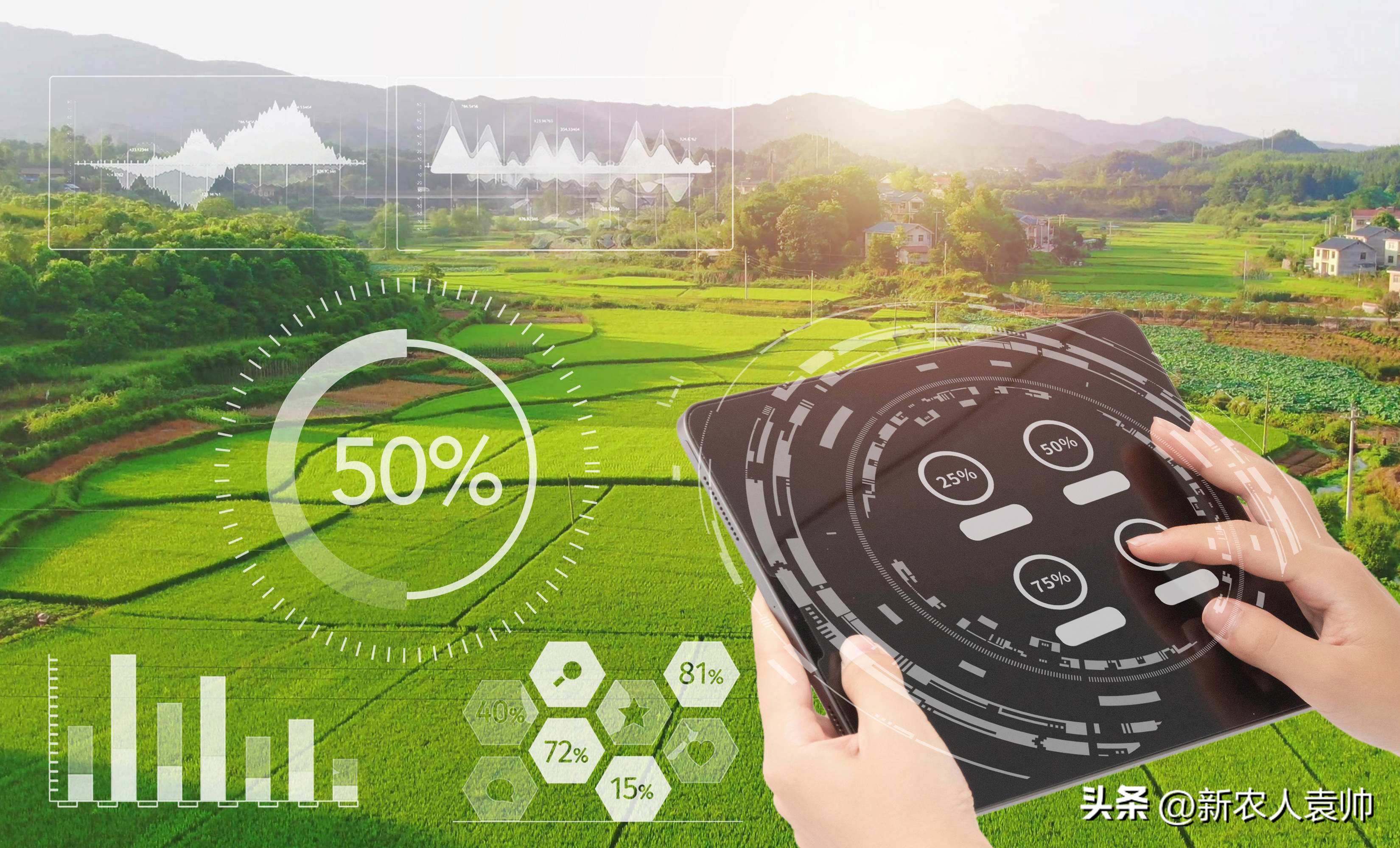 聚焦智能化改造和数字化转型,焦点访谈传统产业加速转型