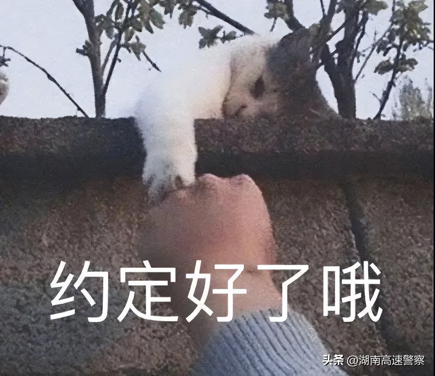 高速公路上和斑马线类似的平行线,高速公路上的斑马线你用来干嘛的