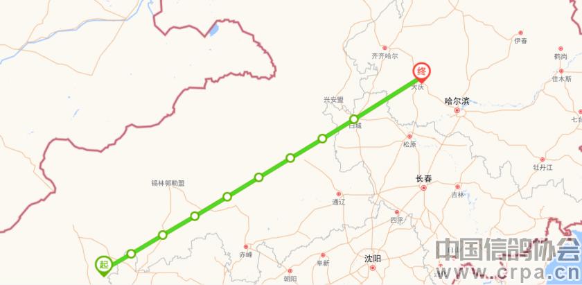 联翔2023夏季赛程,2020年国家赛信鸽1000公里联翔