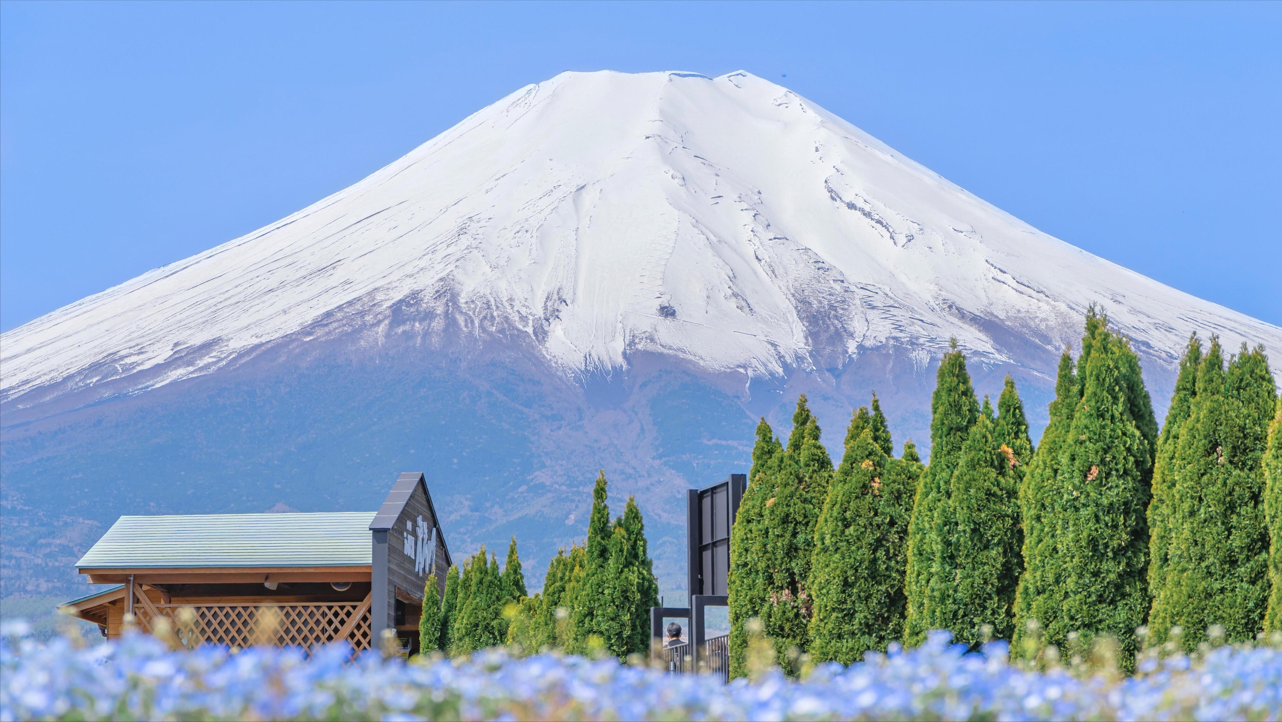 日本购买大量海外土地，累计面积已超本土3倍，究竟是何意图？