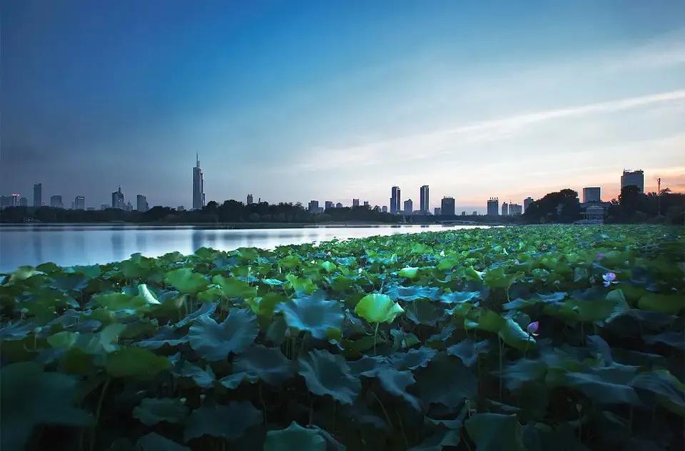 因为一支球队，爱上了一座城