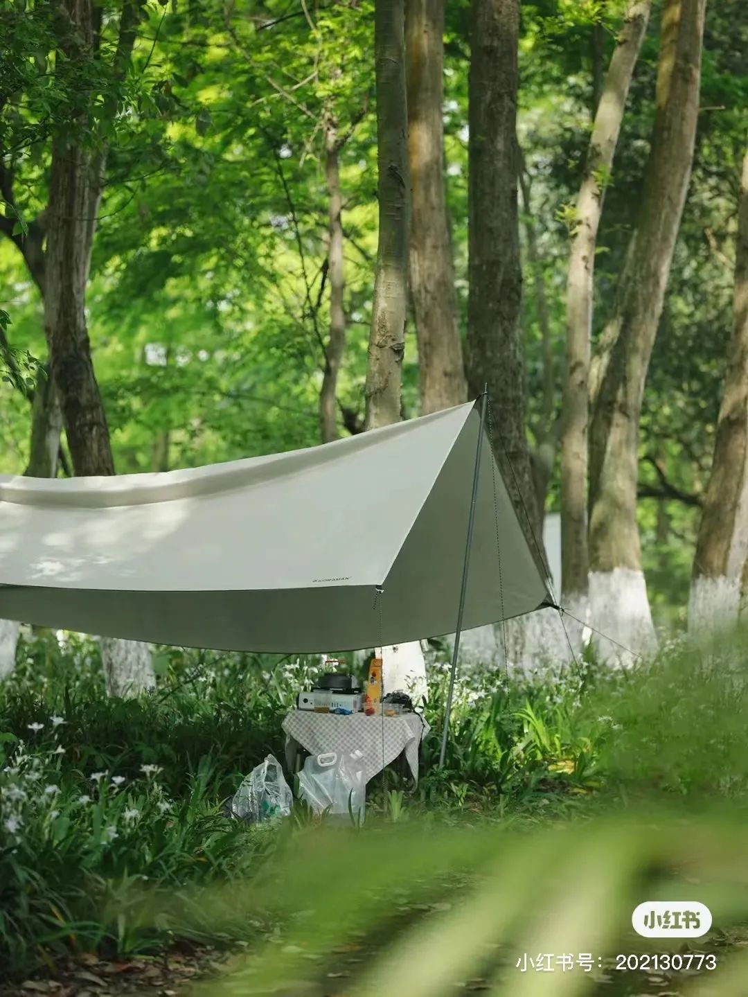 成都免费露营地推荐过夜,成都周边露营地推荐自驾