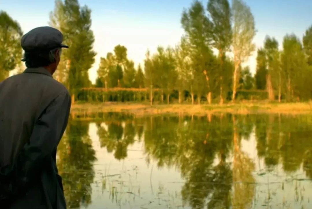 58天，我们见证了一部冷门片的逆袭