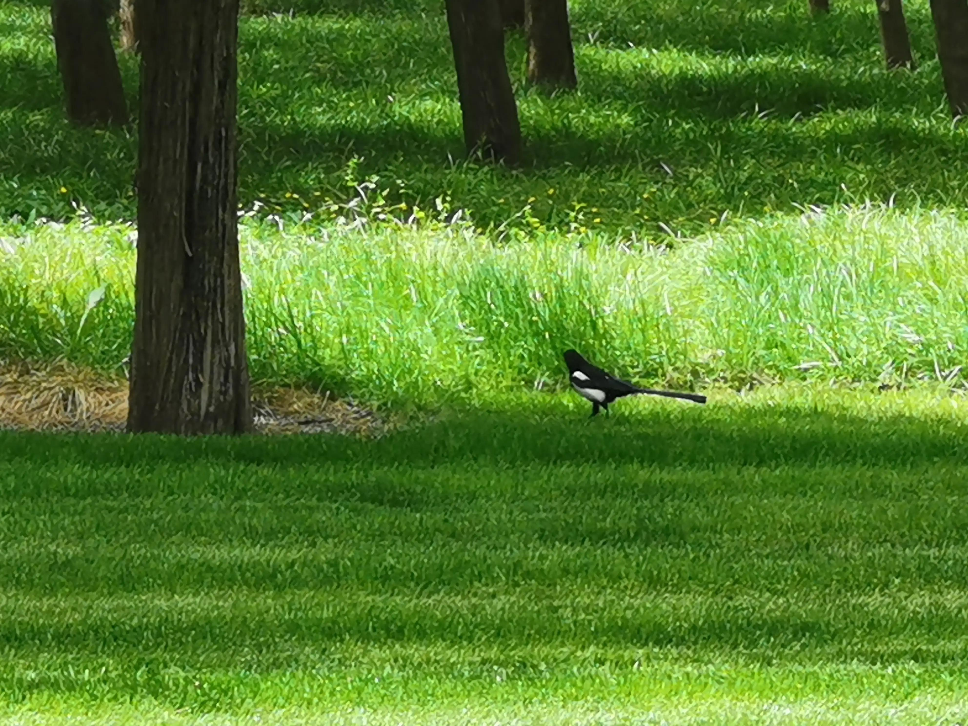 逛天坛需要多长时间,天坛游玩攻略及美食
