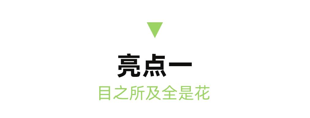 成都市区现实版桃花源记在哪里,成都公交可达的古镇