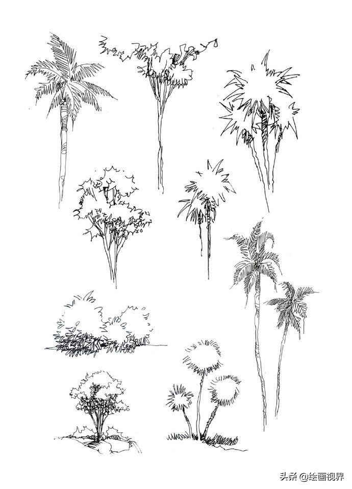 零基础不会画画怎么学当插画师,零基础画不好色彩