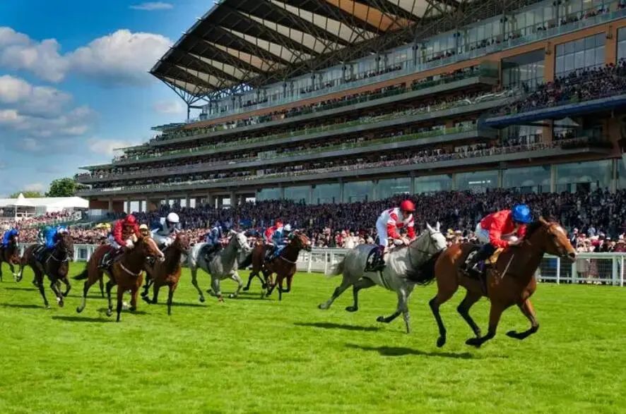 德比文化,德比来历介绍