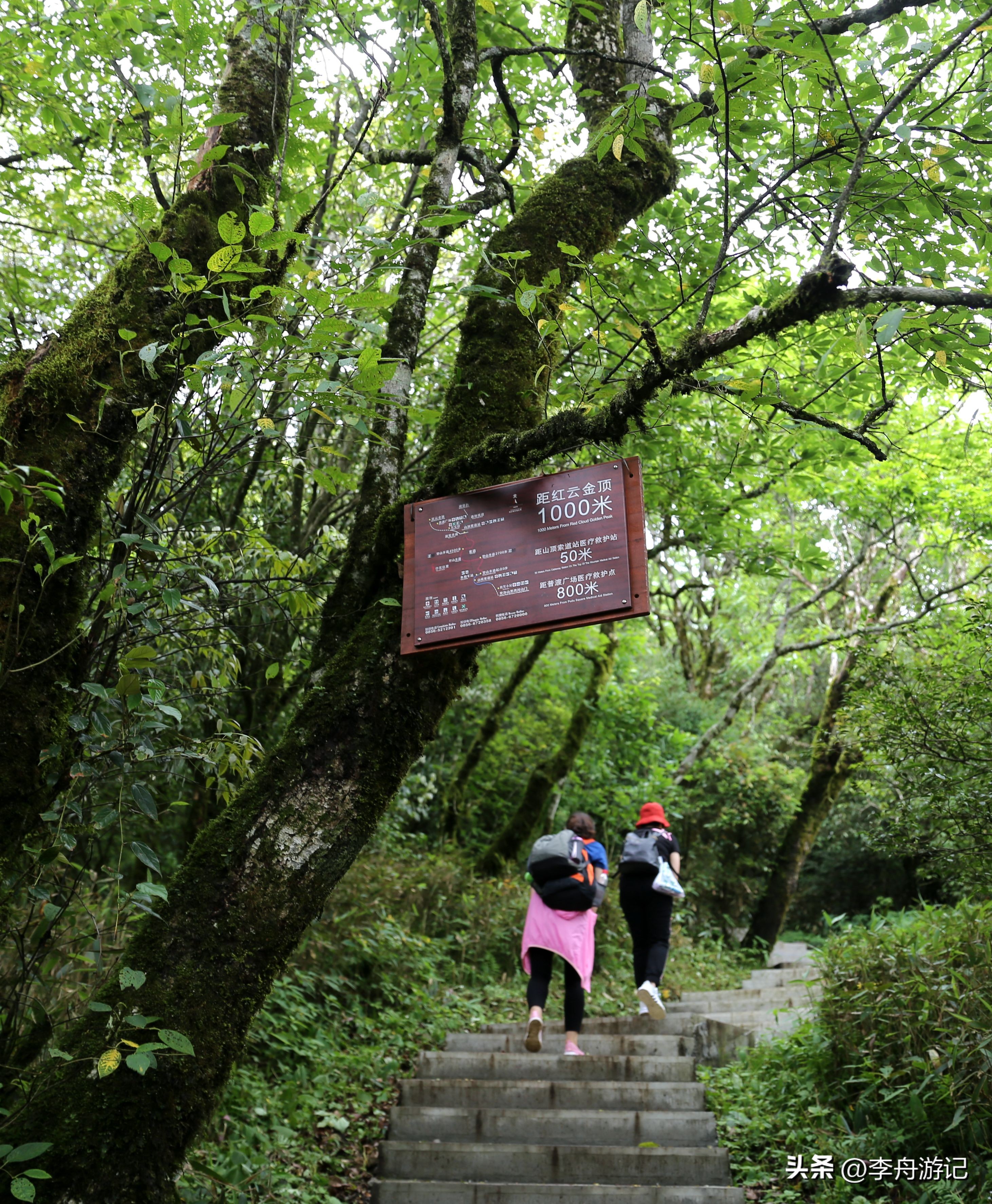 贵州租车自驾游攻略7日游,贵州租车六日自驾游攻略