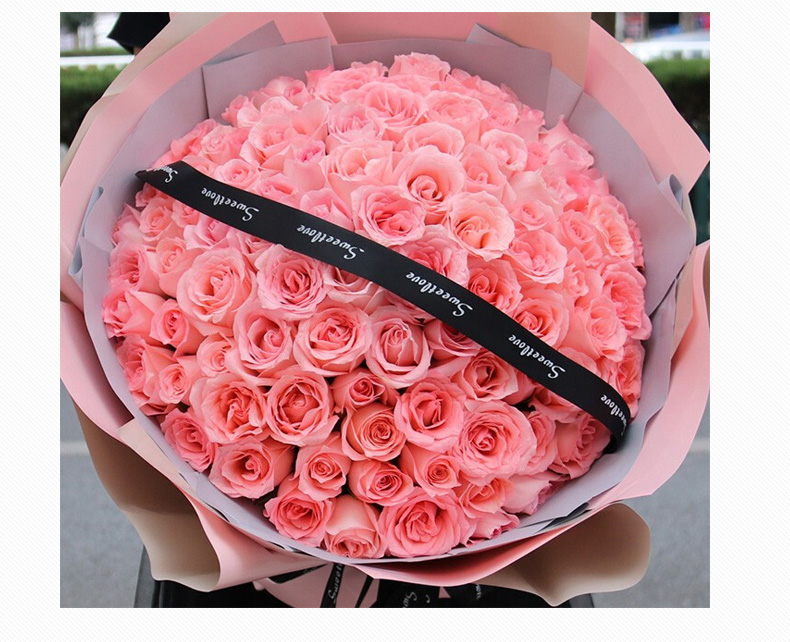 520可送的鲜花种类,送人蓝色鲜花有哪些