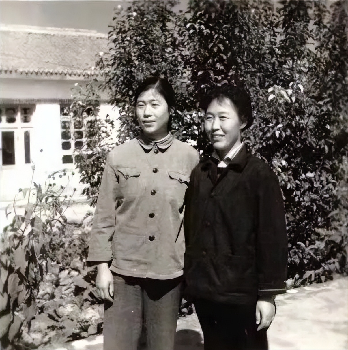 邓亚平：我的五姑