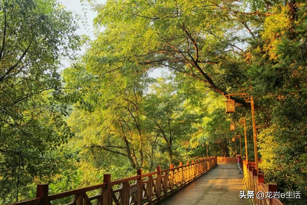 夏天龙岩哪里凉快适合避暑,龙岩新罗区有哪些避暑的好地方