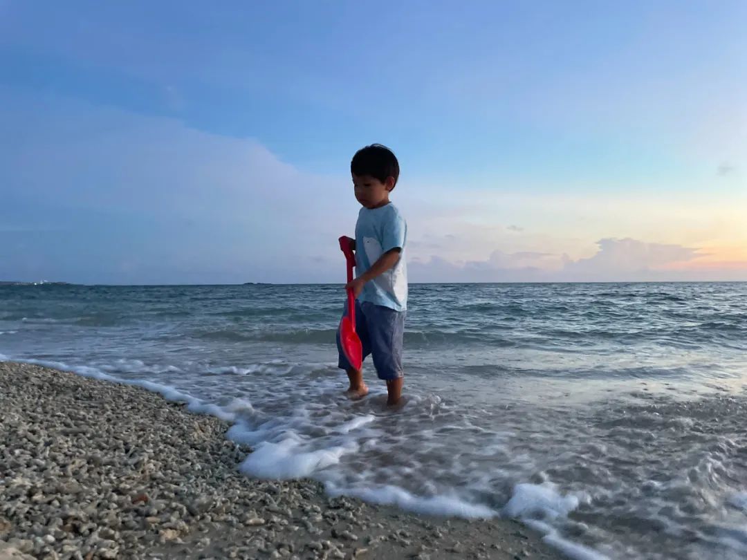 把孩子送进“整天都在玩”的日本幼儿园，这位中国妈妈重新认识“起跑线”