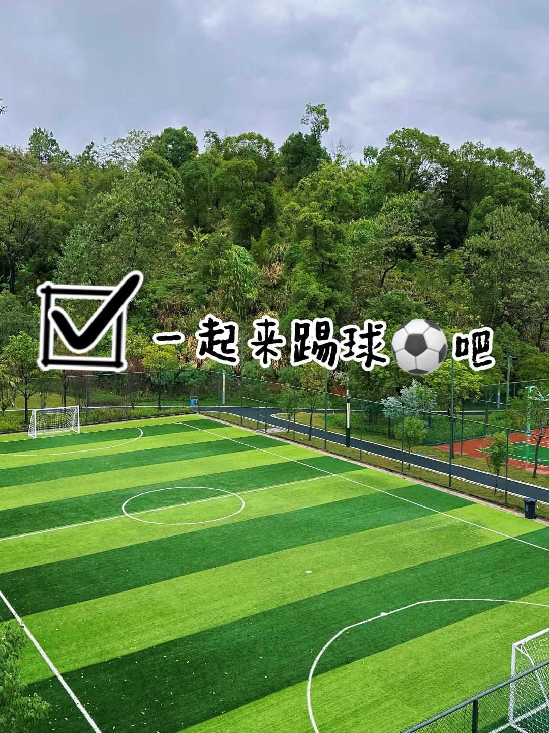 世界杯开始精彩,世界杯开始了没