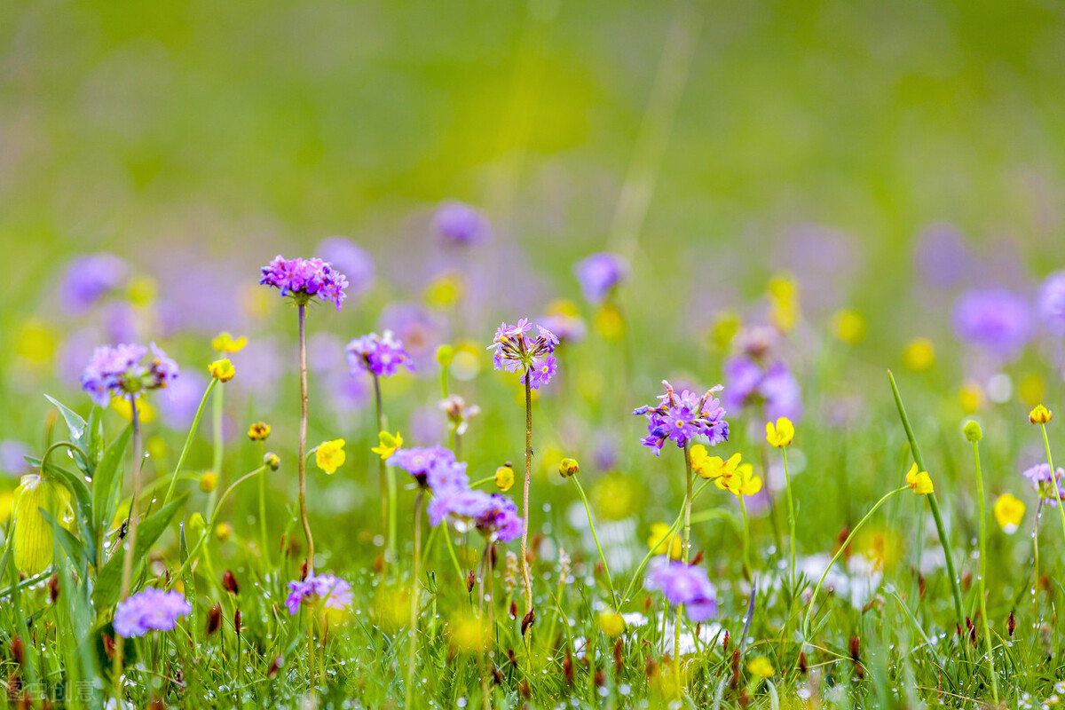 “狠”到“点子上”的女人，不吼不骂不怨赢到最后