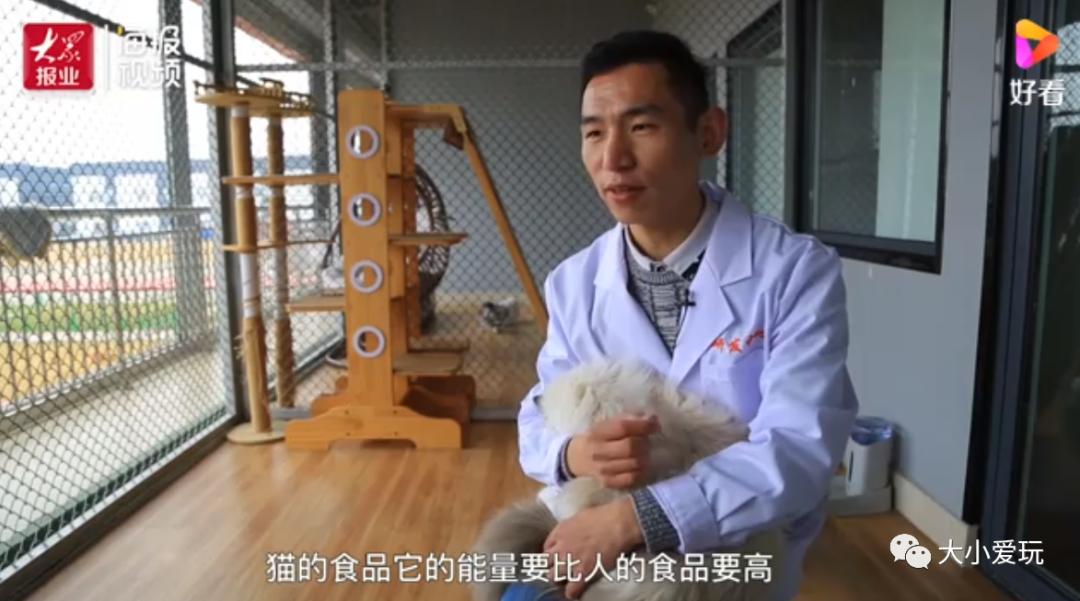 看了这些听都没听过的新兴职业,老母亲不淡定了