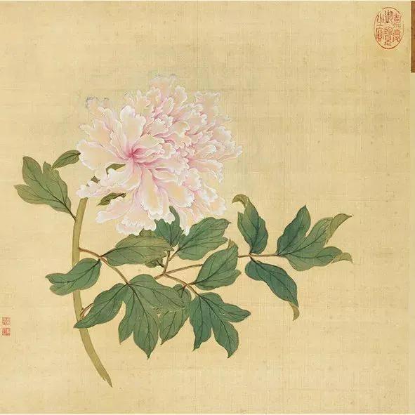 蒋廷锡牡丹画法,蒋廷锡百种牡丹画法