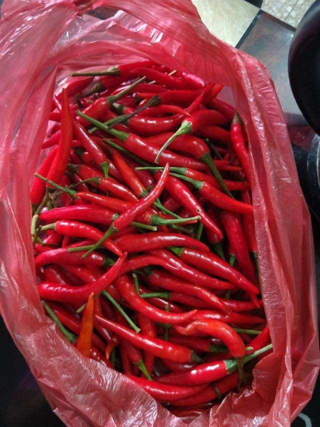 厨房里的养花神器,厨房适合养花的肥料