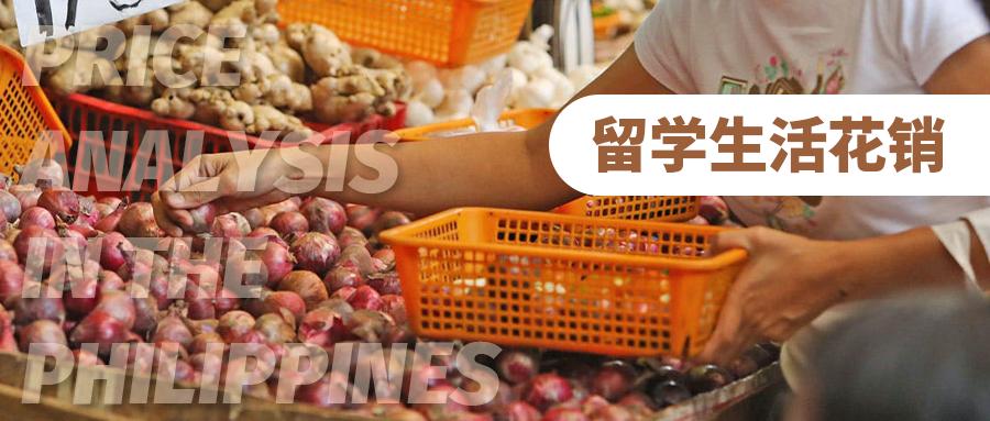 在菲律宾留学和生活费用多少,菲律宾留学生一个月生活费