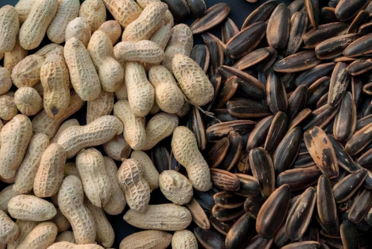 吃花生瓜子能增肥吗,瓜子与花生一个易长胖一个助减肥