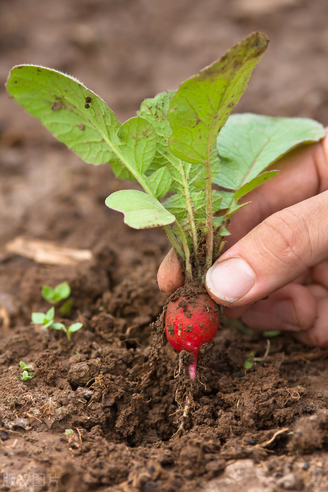 华为选拔人才,如何评价华为的干部选拔机制