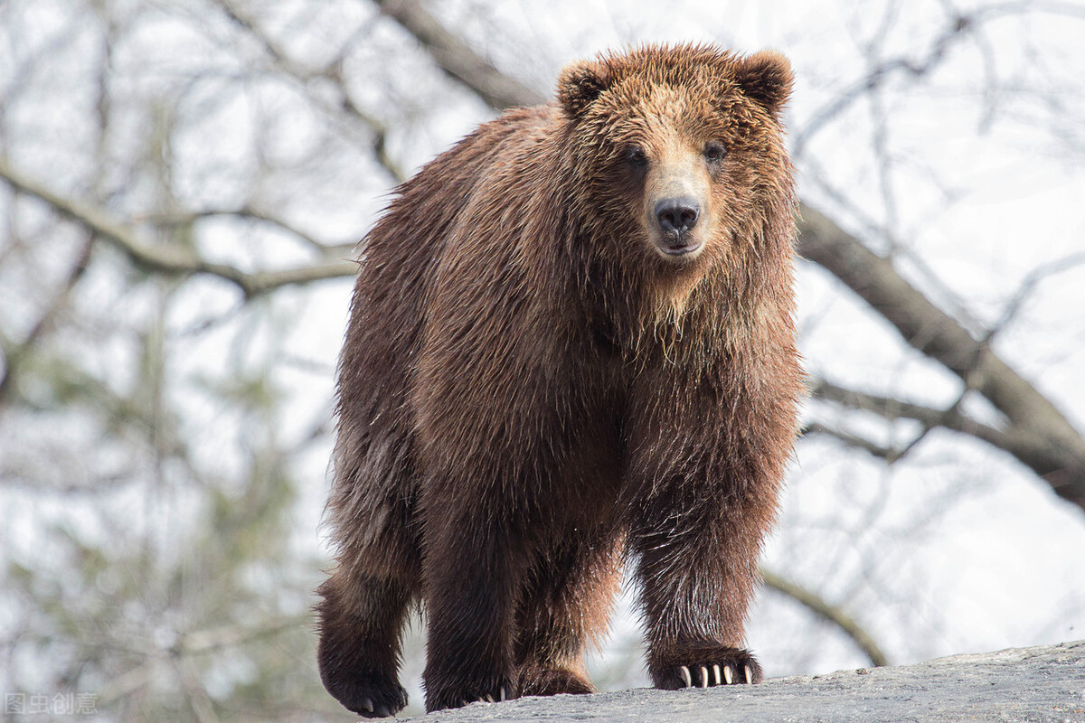 各个国家的国宝大全,世界上的各个国家的国宝