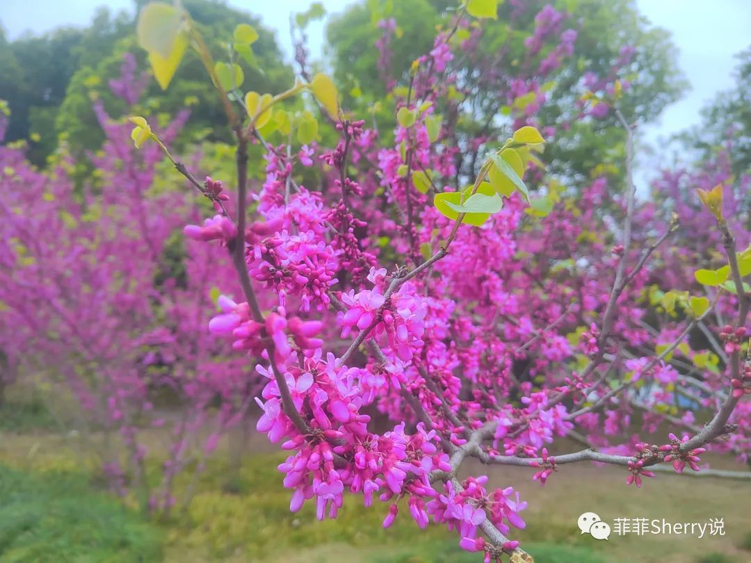做好这三点带你快速进入工作状态,掌握正确的工作方法才能事半功倍