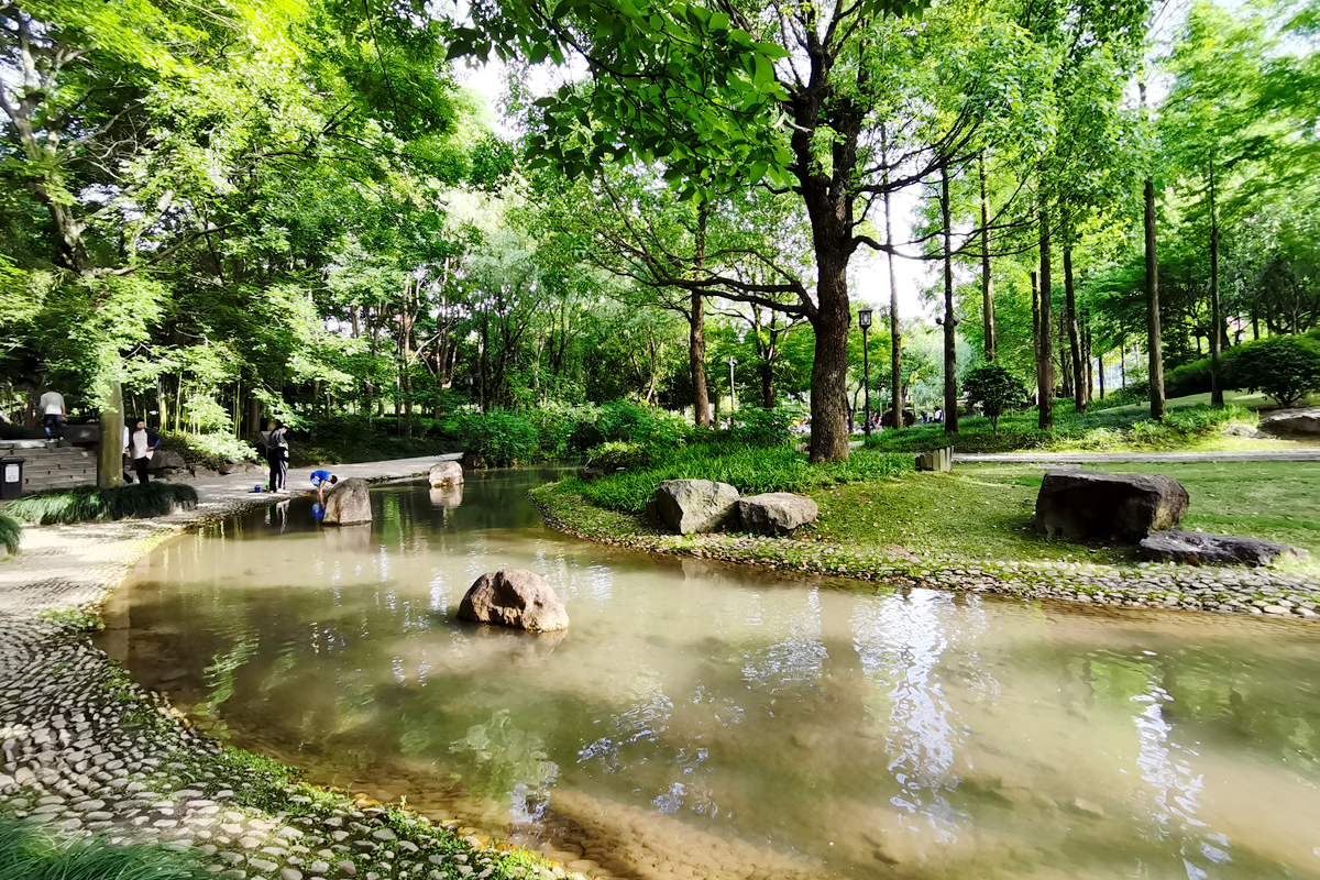 花盆里种不出参天大树——东吴第一任太子孙登成长记