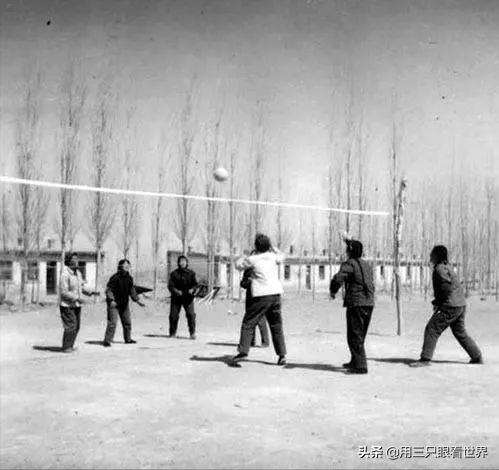 知青青年悲惨经历,知青的生活留下点点滴滴美好回忆