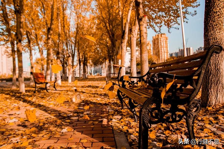 闲敲棋子落灯花赵师秀,赵师秀约客落灯花