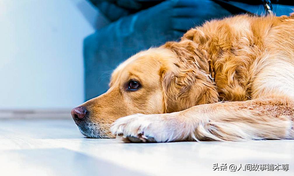 月嫂干了哪些事让男子如此生气,月嫂对她再好都没用