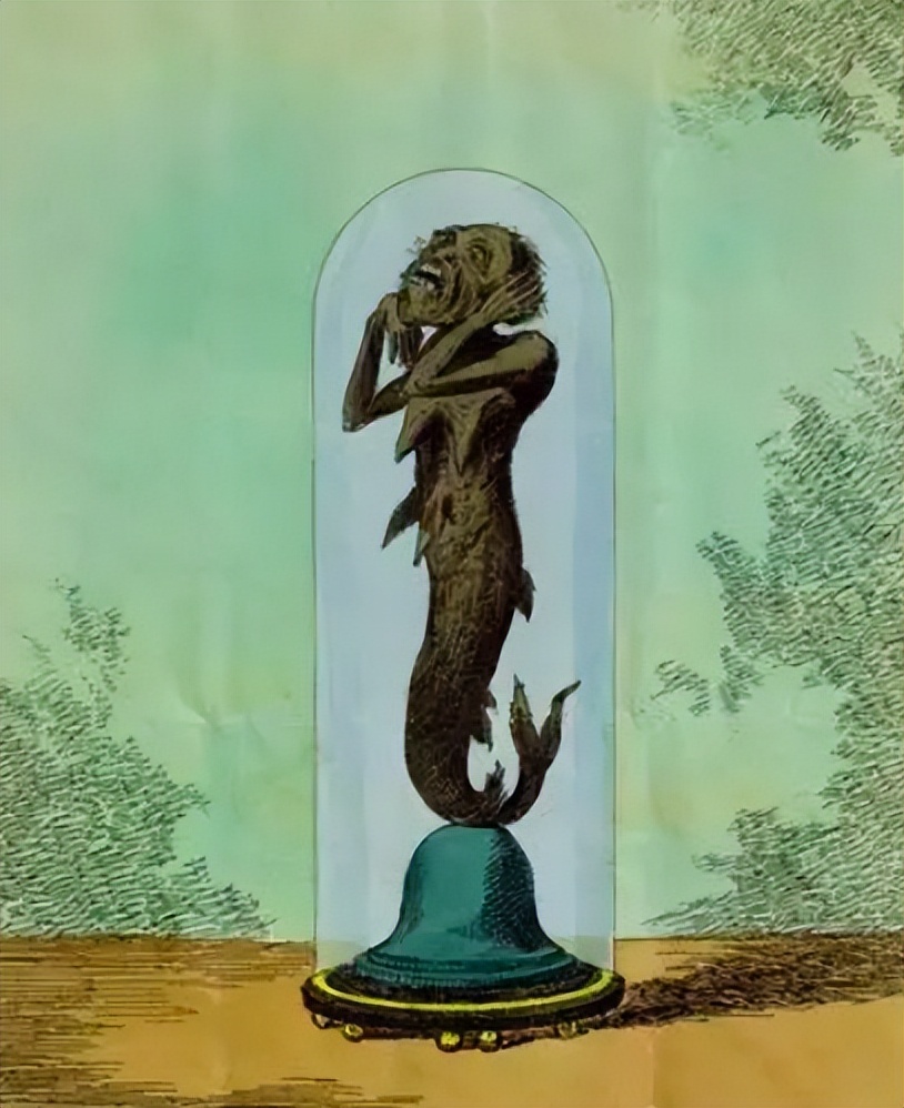 畸形秀背后的真相,畸形秀真实事件