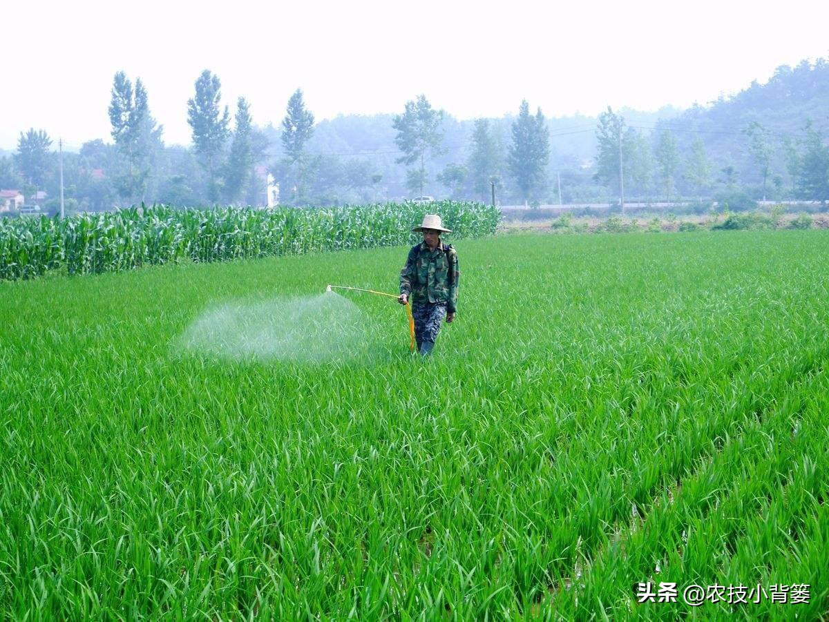 农作物除病害剂,农业害虫防治剂