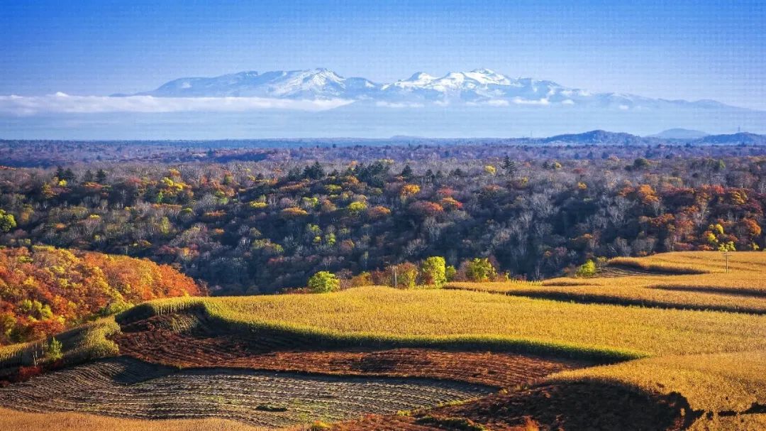 7-8月适合旅游的最佳地方最新,9月旅行地推荐国内最美的10个地方