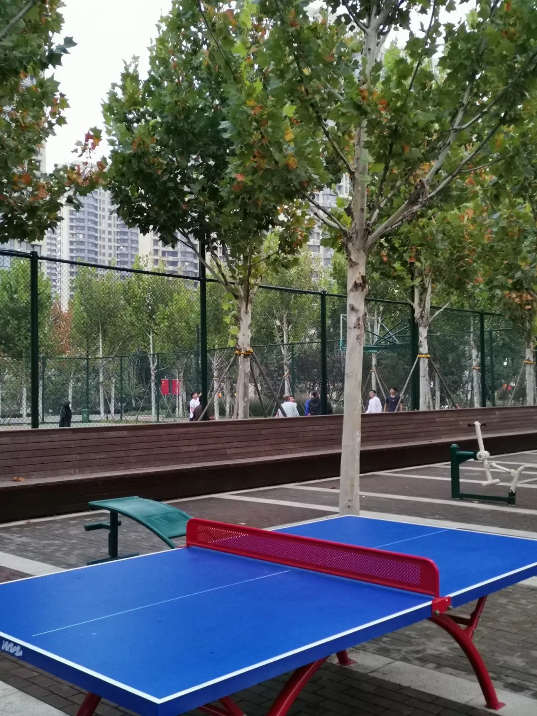 济南适合跑步的公园有哪些,济南可以运动的公园