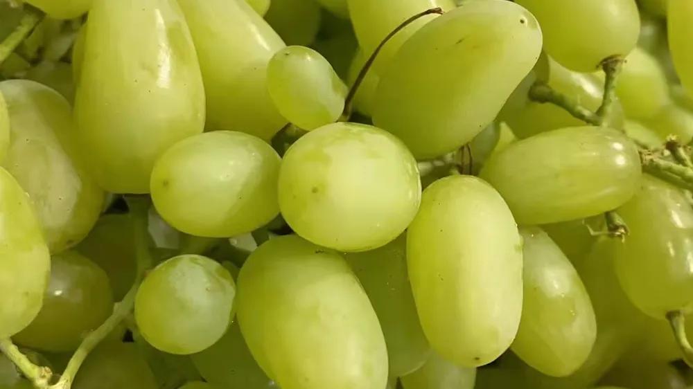 水果店经营如何提升利润,如何经营水果店让生意更好