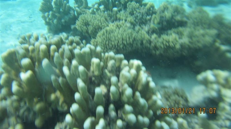 马尔代夫蜜月免费项目,蜜月旅游去马尔代夫哪个岛屿最好