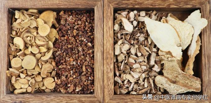 修复肾小球的中成药有哪几种,修复肾小球肾炎最好的中成药