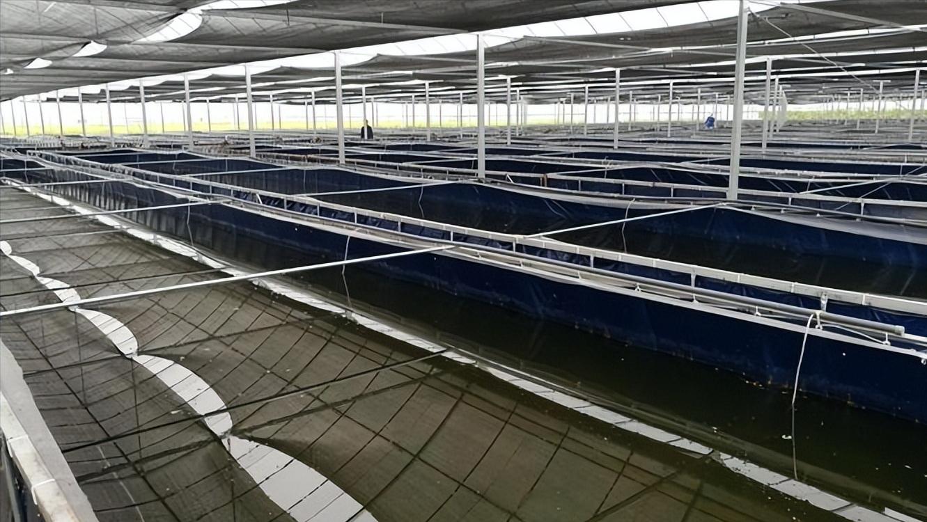 水蛭立体养殖箱制作材料,牡丹江水蛭立体养殖