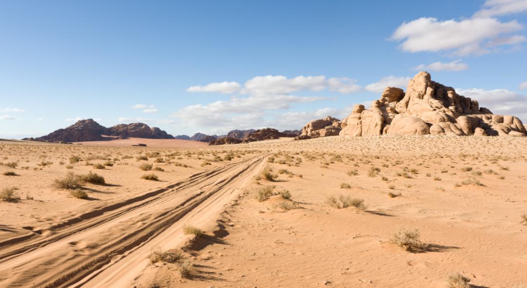 营养最高的野生坚果,沙漠果坚果之王
