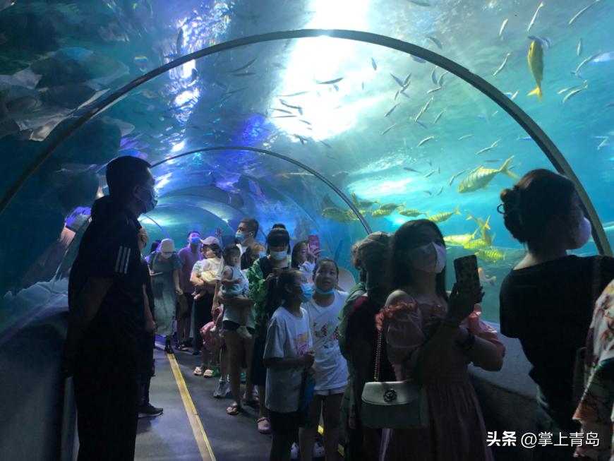 山海研学实践基地,山海研学