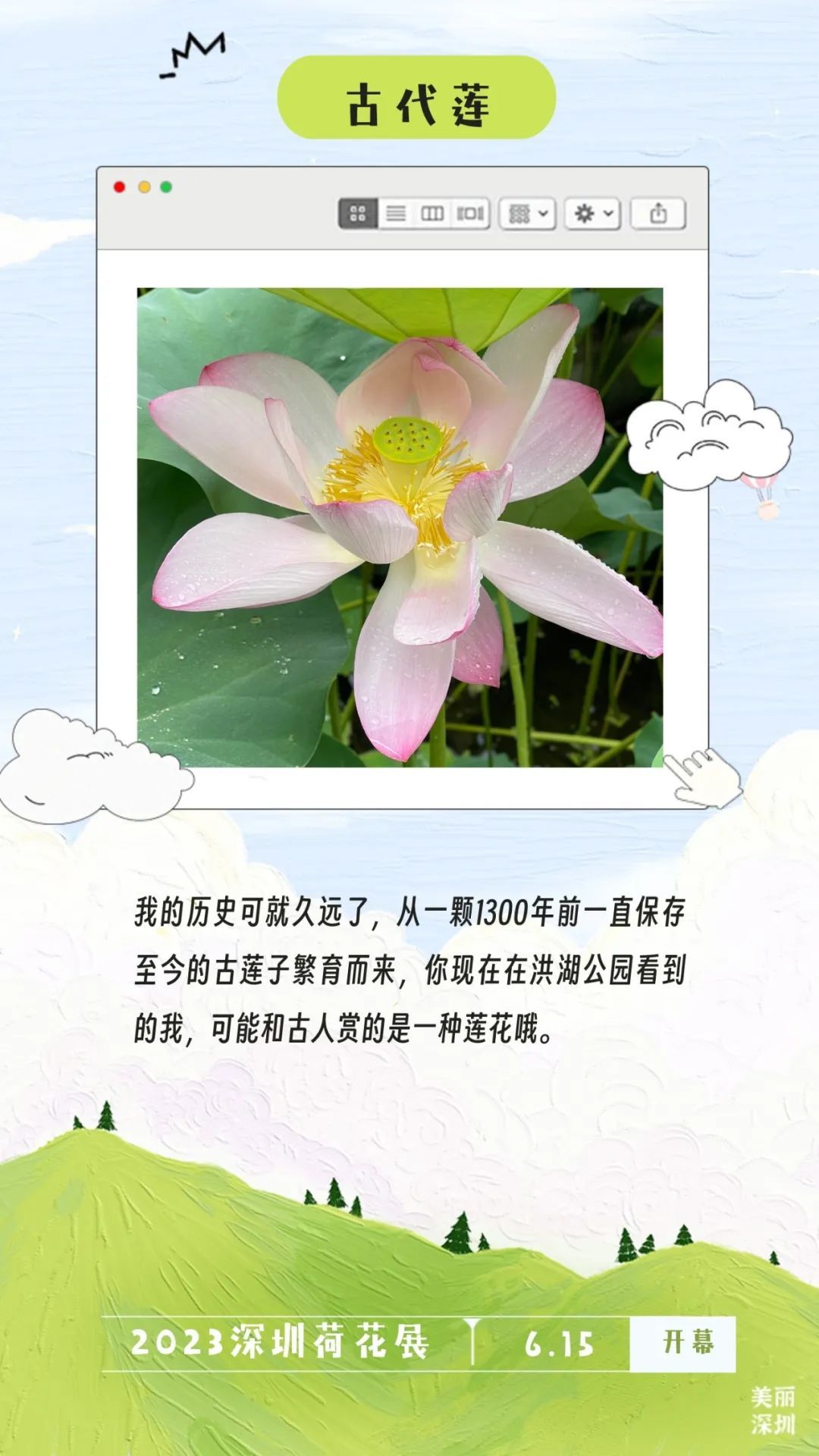 深圳人游玩推荐,深圳人爬山看海