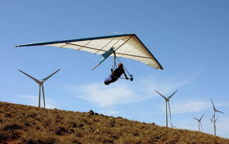 没翅膀会飞的动物,金花蛇飞行原理