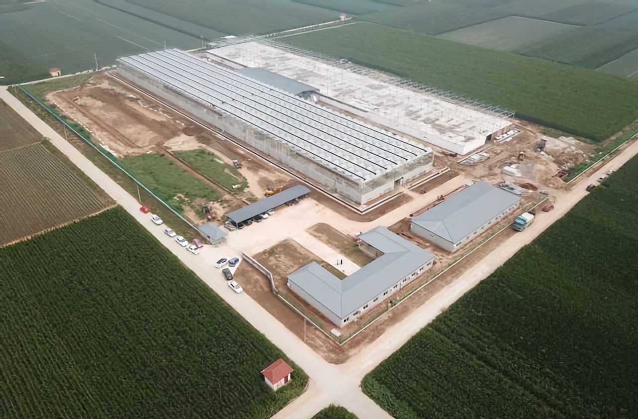 公务员辞职养蟑螂现在成亿万富翁,公务员辞职养蟑螂